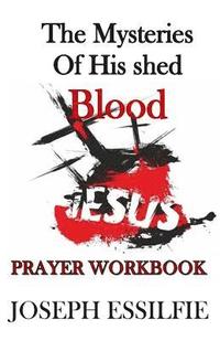 bokomslag The Mysteries of his Shed Blood (Prayer Workbook): Changing your world by prayer