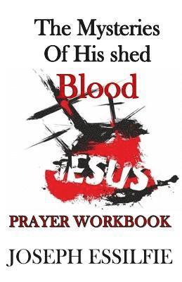 bokomslag The Mysteries of his Shed Blood (Prayer Workbook): Changing your world by prayer