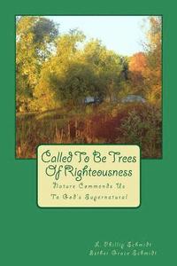 bokomslag Called to Be Trees of Righteousness: Nature Commends Us to God's Supernatural