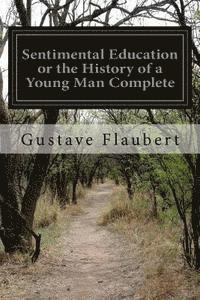 bokomslag Sentimental Education or the History of a Young Man Complete