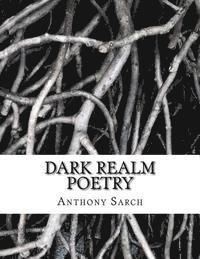 bokomslag Dark Realm Poetry