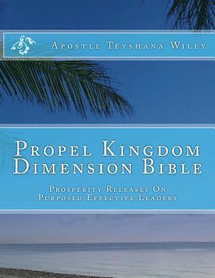 bokomslag Propel Kingdom Dimension Bible: Prosperity Releases On Purposed Effective Leaders