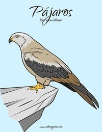 bokomslag Pájaros libro para colorear 1
