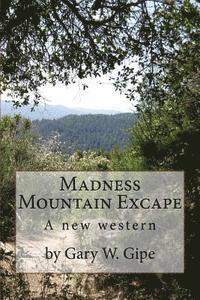 bokomslag Madness Mountain Excape: A New Western