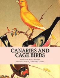 bokomslag Canaries and Cage Birds: Canaries Book 1