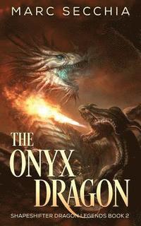 bokomslag The Onyx Dragon