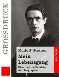 bokomslag Mein Lebensgang (Großdruck): Eine nicht vollendete Autobiographie