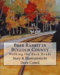 bokomslag Brer Rabbit in Bulloch County: Walking the Back Roads