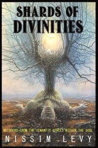 bokomslag Shards Of Divinities