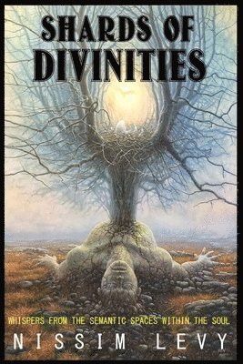 bokomslag Shards Of Divinities