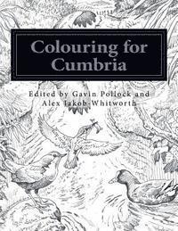 Colouring for Cumbria: Raising money for people affected by the floods in Cumbria and Northern England. 1