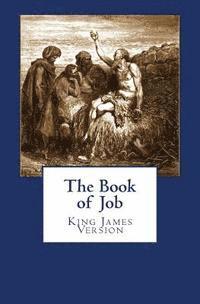 bokomslag The Book of Job