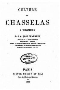 Culture du chasselas à Thomery 1