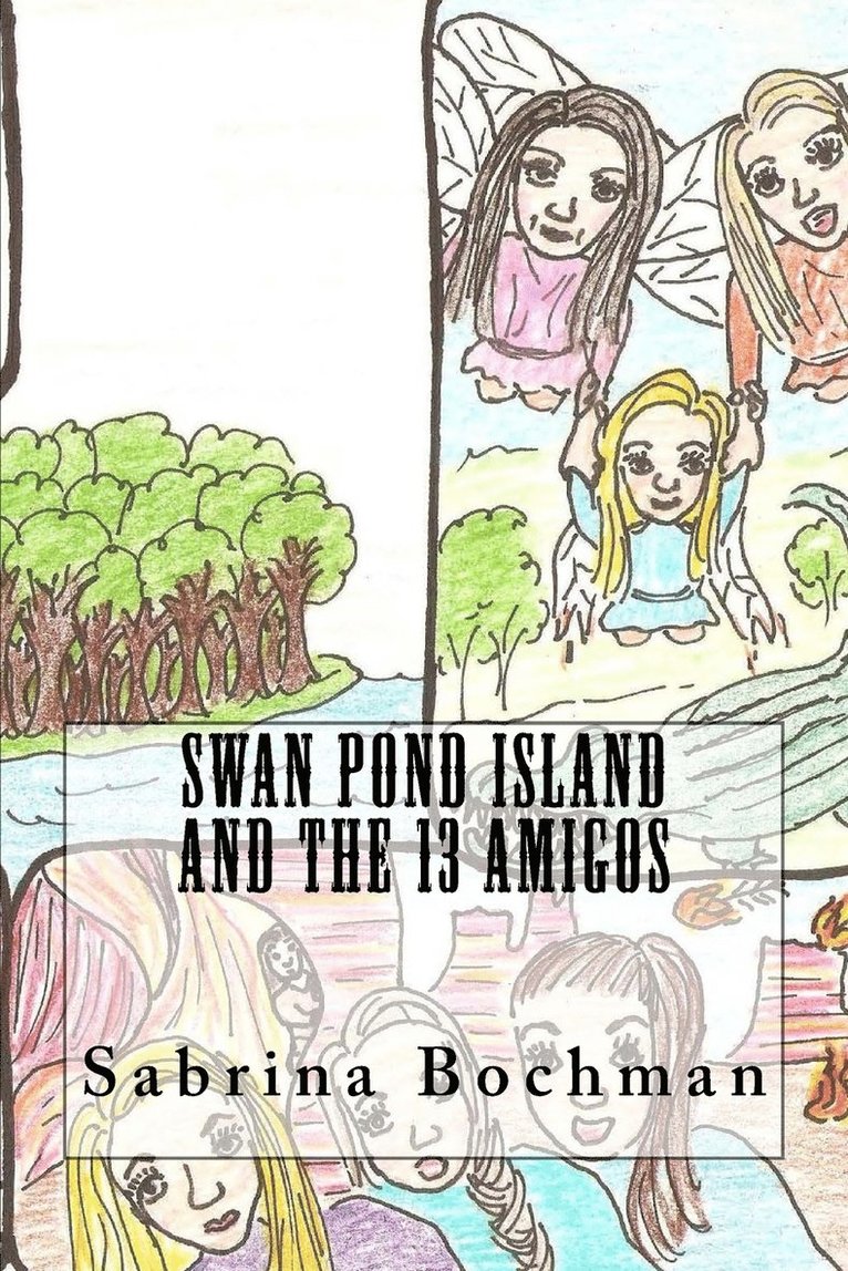 Swan Pond Island and the 13 Amigos 1