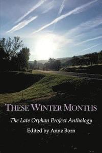 bokomslag These Winter Months: The Late Orphan Project Anthology