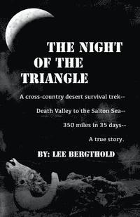 bokomslag The Night of the Triangle