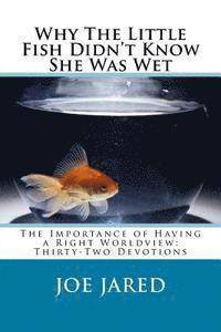 bokomslag Why The Little Fish Didn't Know She Was Wet: The Importance of Having a Right Worldview: Thirty-Two Devotions