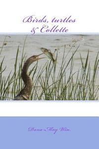 Birds, turtles and Collette 1