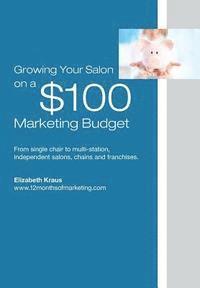 bokomslag Growing a Salon on $100 Marketing Budget