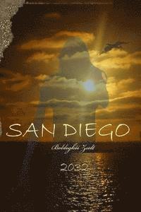 bokomslag San Diego - 2032