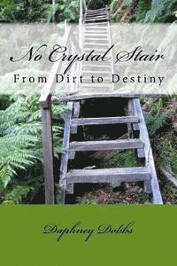 bokomslag No Crystal Stair: From Dirt to Destiny