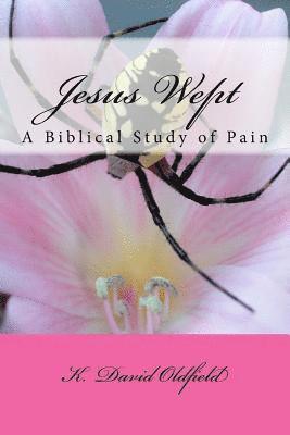 bokomslag Jesus Wept: A Biblical Study of Pain