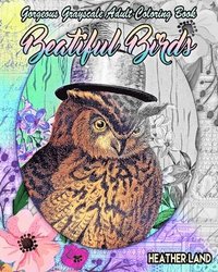 bokomslag Beautiful Birds: Grayscale Vintage Adult Coloring Book