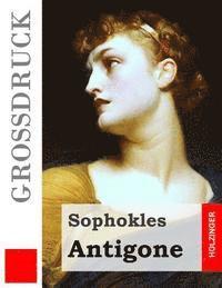 bokomslag Antigone (Großdruck)