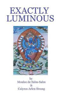 bokomslag Exactly Luminous: The erotic spiritual poems of the 6th Dalai Lama, Tsanyang Gyatso