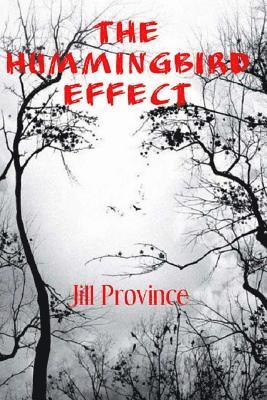 Jill Province - The Hummingbird Effect, Häftad