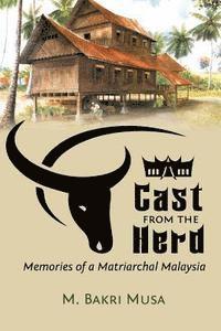 bokomslag Cast From The Herd: Memories of Matriarchal Malaysia