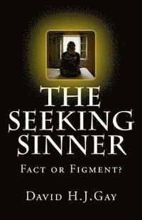 bokomslag The Seeking Sinner: Fact or Figment?