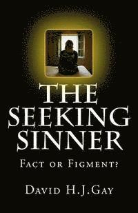 David H. J. Gay - The Seeking Sinner: Fact or Figment?, Häftad
