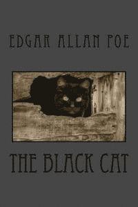 bokomslag The Black Cat