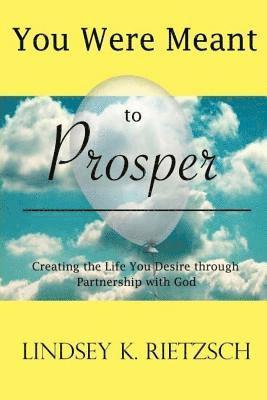 bokomslag You Were Meant to Prosper: Creating the Life You Desire through Partnership with God