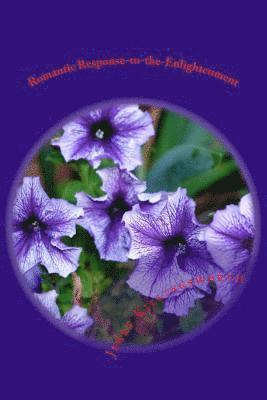 Jerry Lacony Killingsworth - Romantic Response-to-the-Enlightenment, Häftad