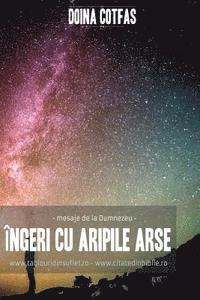 bokomslag Ingeri Cu Aripi Arse: Mesaje de la Dumnezeu