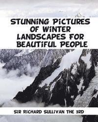 bokomslag Stunning Pictures of Winter Landscapes For Beautiful People