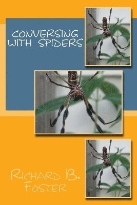 bokomslag Conversing With Spiders