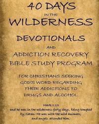 bokomslag 40 Days in the Wilderness Addiction Recovery Devotionals and Bible Studies