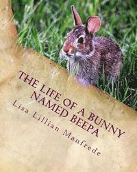 bokomslag The Life of a Bunny Named Beepa