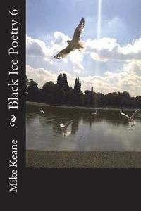 bokomslag Black Ice Poetry 6