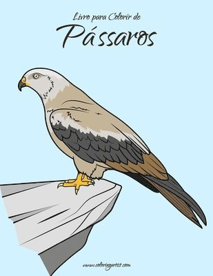 bokomslag Livro para Colorir de Passaros 1