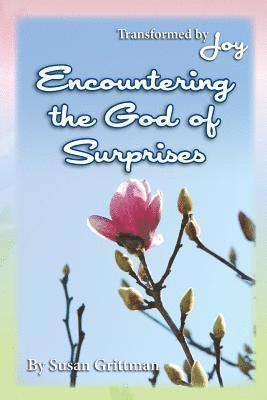 bokomslag Encountering the God of Surprises: Transformed by Joy