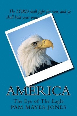 America 'The Eye of The Eagle' 1