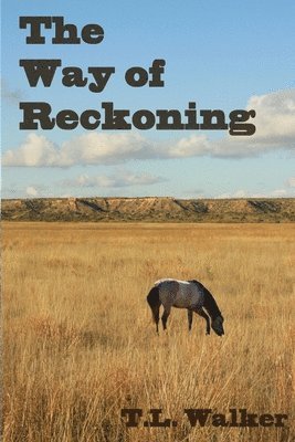 bokomslag Way of Reckoning
