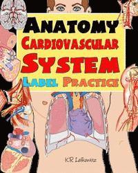 bokomslag Anatomy Cardiovascular System Label Practice