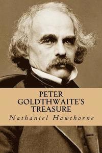 bokomslag Peter Goldthwaite's Treasure
