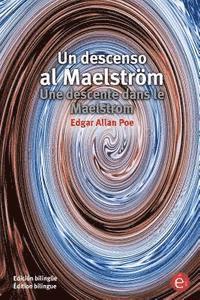 bokomslag Un descenso al Maelström/Une descente dans le Maelstrom: Edición bilingüe/Édition bilingue