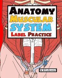 bokomslag Anatomy Muscular System Label Practice